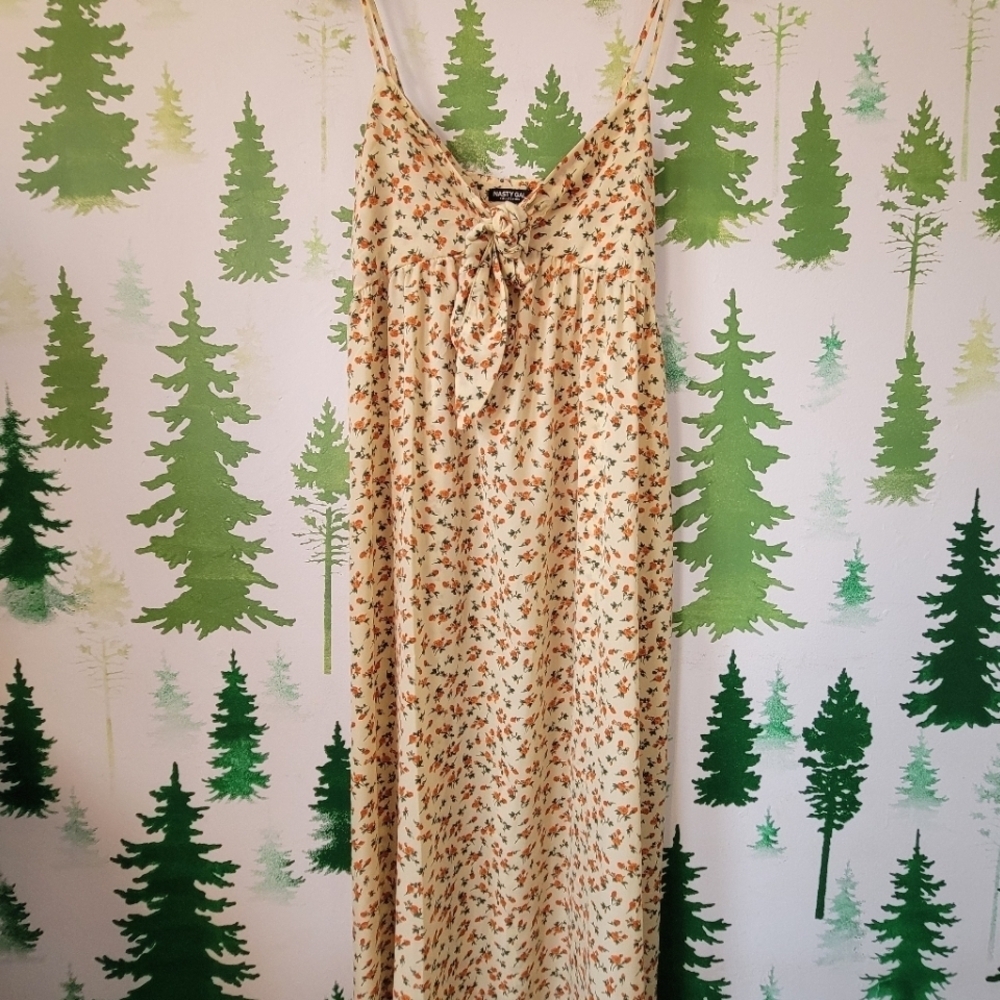 Nasty Gal Ditsy Floral Tie Front Maxi Dress
